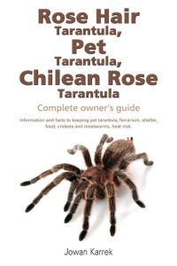 Rose Hair Tarantula, Pet Tarantula, Chilean Rose Tarantula  - Complete owner's guide