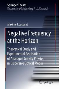 Negative Frequency at the Horizon  - Theoretical Study and Experimental Realisation of Analogue Gravity Physics in Dispersive Optical Media