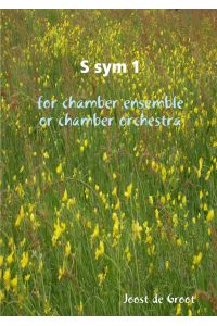 S sym 1 for chamber ensemble or chamber orchestra