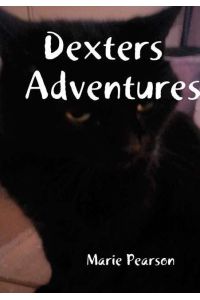 Dexters Adventures