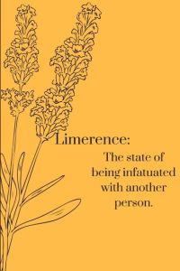 Limerence  - The state of being infatuated  with another person.