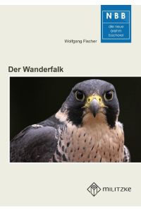 Der Wanderfalk  - Falco peregrinus und Falco pelegrinoides