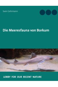 Die Meeresfauna von Borkum  - Was lebt im Meer rund um die Insel?