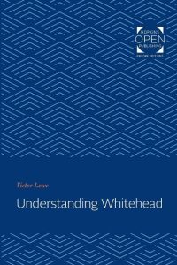 Understanding Whitehead