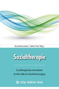 Sozialtherapie  - Sozialtherapeutische Interventionen als dritte Säule der Gesundheitsversorgung