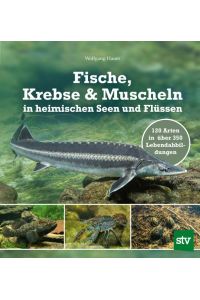 Fische, Krebse & Muscheln in heimischen Seen und Flüssen  - 120 Arten in über 350 Lebendabbildungen