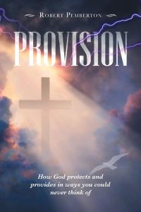 Provision  - How God Protects and Provides in Ways You Could Never Think Of