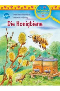 Die Honigbiene  - Sachwissen für Erstleser
