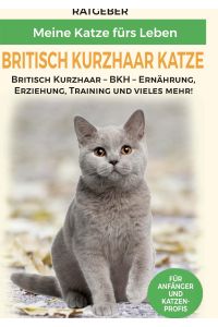 Britisch Kurzhaar Katze  - Britisch Kurzhaar Katze Ratgeber - BKH Katze - Erziehung, Ernährung und Pflege