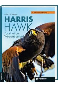 Harris Hawk  - Faszination Wüstenbussard