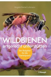 Wildbienen artgerecht unterstützen  - Der Ratgeber für die Gartenpraxis