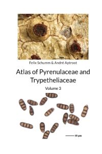 Atlas of Pyrenulaceae and Trypetheliaceae Vol 3  - Lichenized Ascomycota