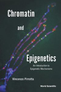 Chromatin and Epigenetics  - An Introduction to Epigenetic Mechanisms