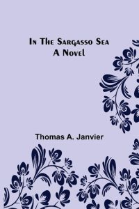 In the Sargasso Sea A Novel