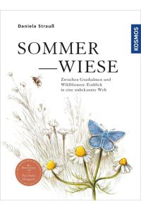 Sommerwiese  - Zwischen Grashalmen und Wildblumen: Einblick in eine unbekannte Welt