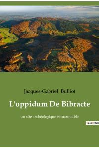 L'oppidum De Bibracte  - un site archéologique remarquable