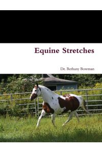 Equine Stretches