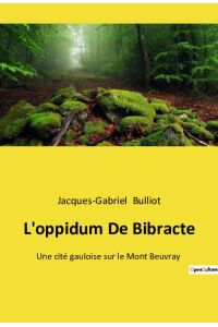 L'oppidum De Bibracte  - Une cité gauloise sur le Mont Beuvray