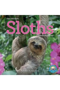 Original Sloths Wall Calendar 2024  - The Ultimate Experts at Slowing Down