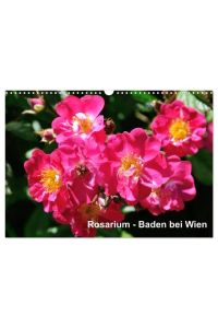 Baden bei Wien - Rosarium (Wandkalender 2024 DIN A3 quer), CALVENDO Monatskalender  - Das größte Rosarium Österreichs liegt in Baden bei Wien
