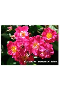 Baden bei Wien - Rosarium (Wandkalender 2024 DIN A2 quer), CALVENDO Monatskalender  - Das größte Rosarium Österreichs liegt in Baden bei Wien