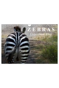 Zebras - Ungezähmte Kraft (Wandkalender 2024 DIN A4 quer), CALVENDO Monatskalender  - Die gestreiften Wildpferde Afrikas