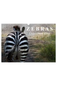 Zebras - Ungezähmte Kraft (Wandkalender 2024 DIN A3 quer), CALVENDO Monatskalender  - Die gestreiften Wildpferde Afrikas