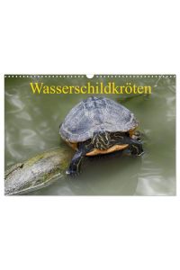 Wasserschildkröten (Wandkalender 2024 DIN A3 quer), CALVENDO Monatskalender  - Die europäische Sumpfschildkröte als auch die eingeführte Rotwangen-Schmuckschildkröte leben mittlerweile nebeneinander in freier Natur in Europa