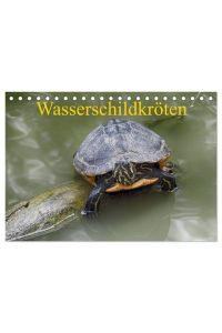 Wasserschildkröten (Tischkalender 2024 DIN A5 quer), CALVENDO Monatskalender  - Die europäische Sumpfschildkröte als auch die eingeführte Rotwangen-Schmuckschildkröte leben mittlerweile nebeneinander in freier Natur in Europa
