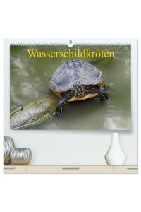 Wasserschildkröten (hochwertiger Premium Wandkalender 2024 DIN A2 quer), Kunstdruck in Hochglanz  - Die europäische Sumpfschildkröte als auch die eingeführte Rotwangen-Schmuckschildkröte leben mittlerweile nebeneinander in freier Natur in Europa