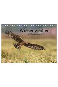 Wiesenweihen in Deutschland (Tischkalender 2024 DIN A5 quer), CALVENDO Monatskalender  - Die seltenen Wiesenweihen gehören zu den Leichtgewichten und den elegantesten Fliegern unter den Greifen.