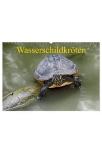 Wasserschildkröten (Wandkalender 2024 DIN A2 quer), CALVENDO Monatskalender  - Die europäische Sumpfschildkröte als auch die eingeführte Rotwangen-Schmuckschildkröte leben mittlerweile nebeneinander in freier Natur in Europa