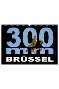 300mm - Brüssel (Wandkalender 2024 DIN A3 quer), CALVENDO Monatskalender  - Brüssel durch das 300mm Tele-Objektiv gesehen