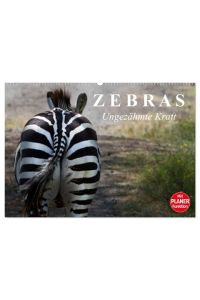 Zebras - Ungezähmte Kraft (Wandkalender 2024 DIN A2 quer), CALVENDO Monatskalender  - Die gestreiften Wildpferde Afrikas