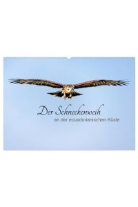 Der Schneckenweih (Wandkalender 2024 DIN A2 quer), CALVENDO Monatskalender  - Raubvögel im Wilden