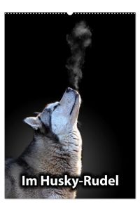 Im Husky-Rudel (Wandkalender 2024 DIN A2 hoch), CALVENDO Monatskalender  - Eine charakteristische Bilderserie, die das friedvolle und spielerische Zusammenleben von Huskies dokumentiert.