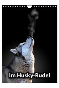 Im Husky-Rudel (Wandkalender 2024 DIN A4 hoch), CALVENDO Monatskalender  - Eine charakteristische Bilderserie, die das friedvolle und spielerische Zusammenleben von Huskies dokumentiert.