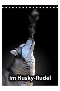 Im Husky-Rudel (Tischkalender 2024 DIN A5 hoch), CALVENDO Monatskalender  - Eine charakteristische Bilderserie, die das friedvolle und spielerische Zusammenleben von Huskies dokumentiert.