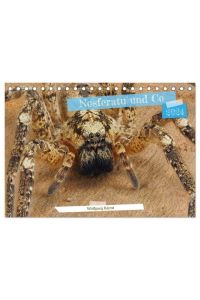 Nosferatu und Co. (Tischkalender 2024 DIN A5 quer), CALVENDO Monatskalender  - Außergewöhnlich detaillierte Nahaufnahmen von europäischen Spinnen