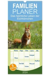 Familienplaner 2024 - Das heimliche Leben der Eichhörnchen mit 5 Spalten (Wandkalender, 21 x 45 cm) CALVENDO  - Eichhörnchen (Sciurus vulgaris) in der Natur