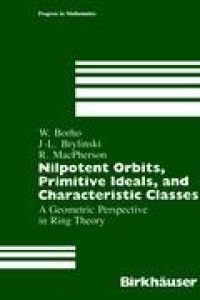 Nilpotent Orbits, Primitive Ideals, and Characteristic Classes  - A Geometric Perspective in Ring Theory