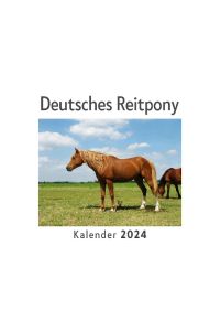 Deutsches Reitpony (Wandkalender 2024, Kalender DIN A4 quer, Monatskalender im Querformat mit Kalendarium, Das perfekte Geschenk)
