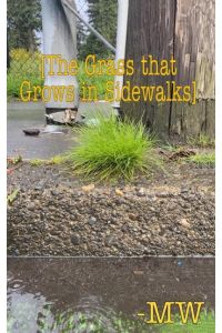 The Grass that Grows in Sidewalks