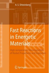 Fast Reactions in Energetic Materials  - High-Temperature Decomposition of Rocket Propellants and Explosives