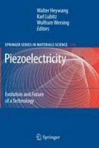 Piezoelectricity  - Evolution and Future of a Technology