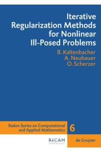 Iterative Regularization Methods for Nonlinear Ill-Posed Problems