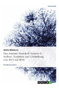 Das Internet Protokoll Version 6: Aufbau, Funktion und Umstellung von IPv4 auf IPv6