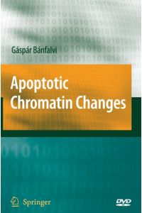 Apoptotic Chromatin Changes