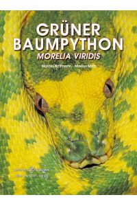 Grüner Baumpython  - Morelia viridis
