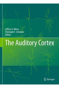 The Auditory Cortex